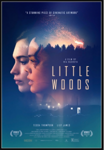 مشاهدة فيلم Little Woods 2018 مترجم