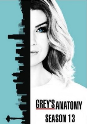 مسلسل Greys Anatomy الموسم 13 الحلقة 19 التاسعة عشر