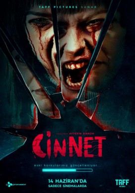 فيلم جنون Cinnet مترجم