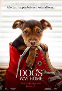 مشاهدة فيلم A Dogs Way Home 2019 مترجم